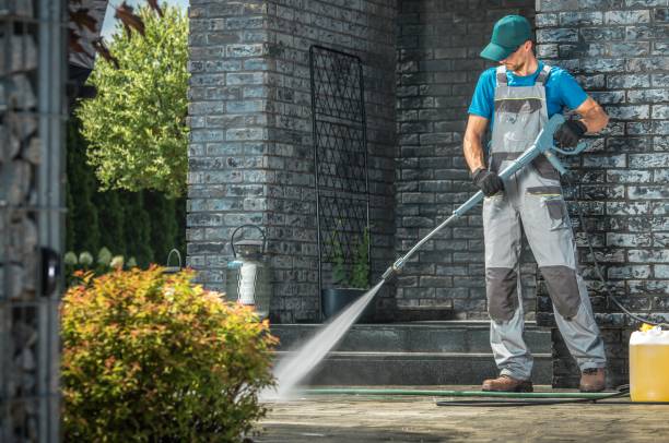 Best Animal Enclosure Cleaning  in Kalida, OH